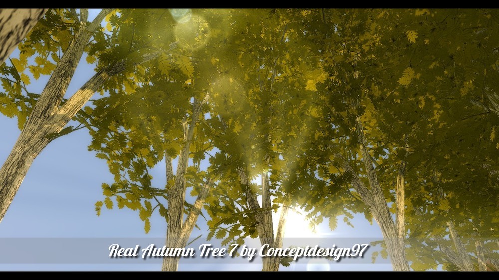 Outdoor Pack 4 12 Trees Realistic For Autumn By Conceptdesign97 Simsday
